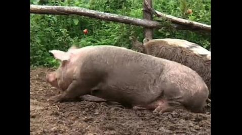 порно анал бабушки